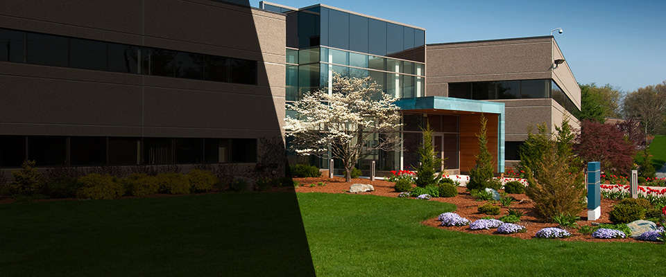 Clear Lake Landscapers