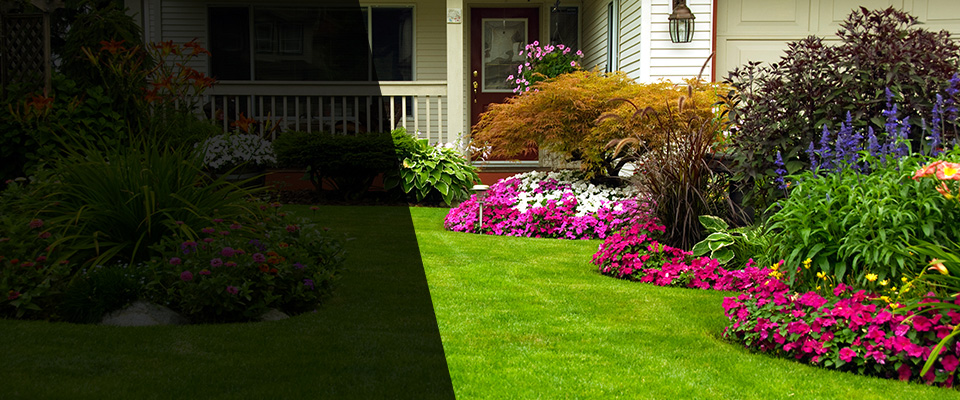Clear Lake Landscapers