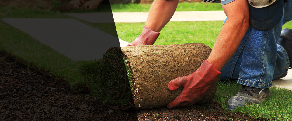 Clear Lake Landscapers